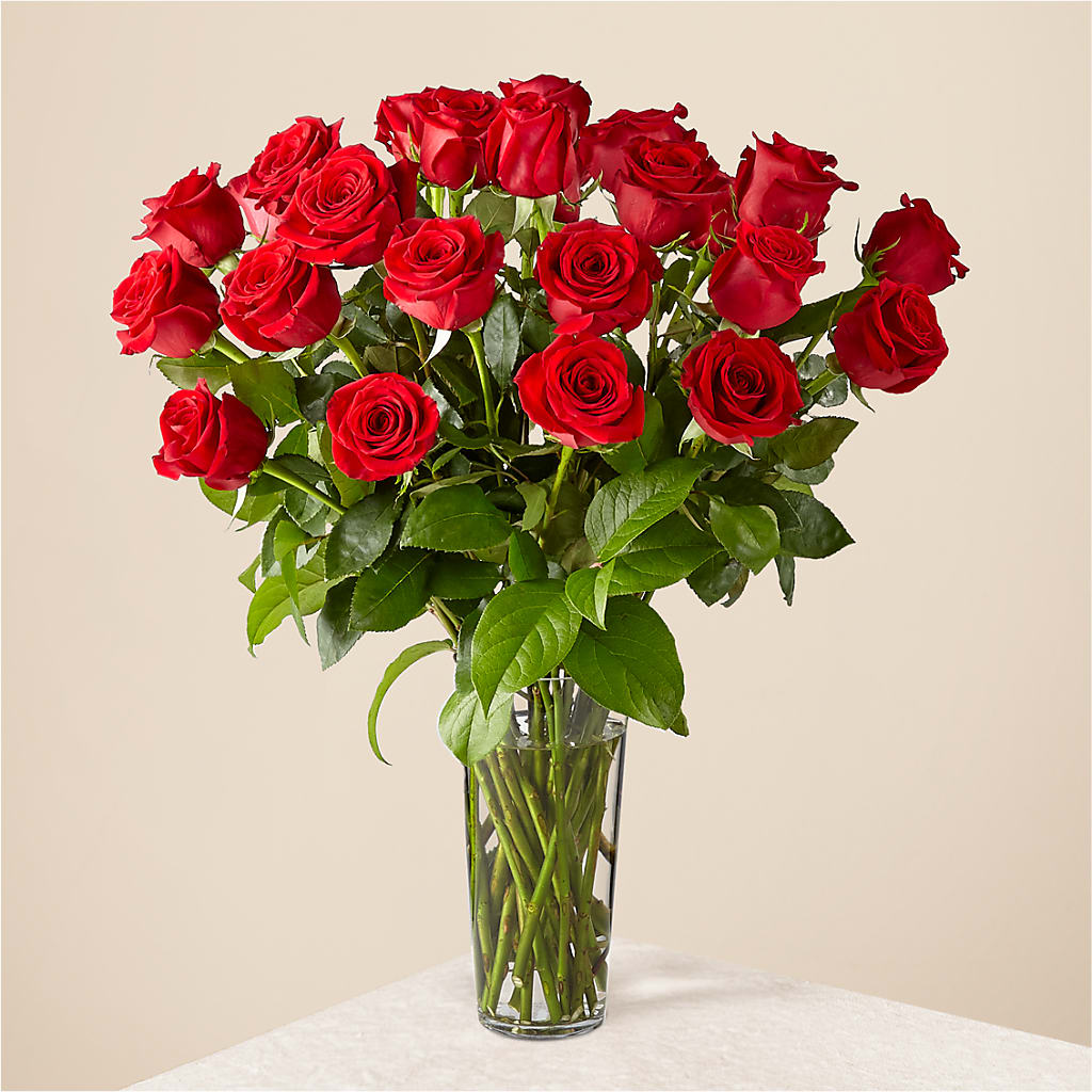 Long Stem Red Rose Bouquet – Fleuriste Ampleman Florist Enr, Chateauguay PQ
