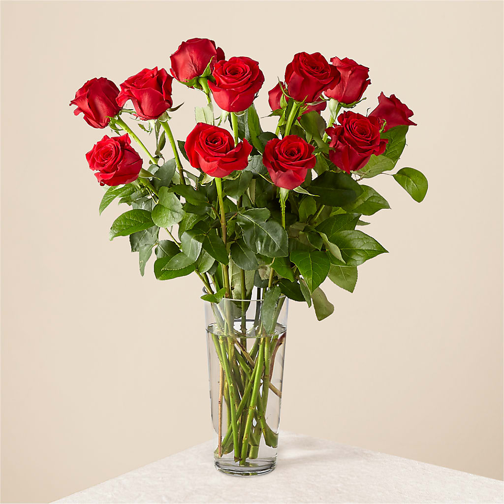 Long Stem Red Rose Bouquet – Fleuriste Ampleman Florist Enr, Chateauguay PQ