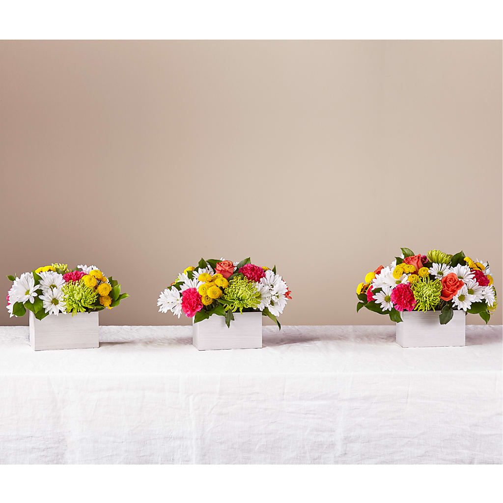 Sorbet Bouquet – Fleuriste Ampleman Florist Enr, Chateauguay PQ