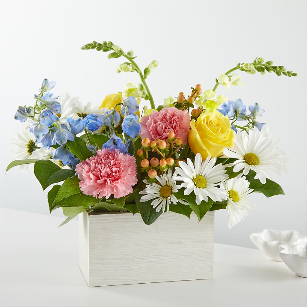 Sun Salutation Box Bouquet – Fleuriste Ampleman Florist Enr, Chateauguay PQ