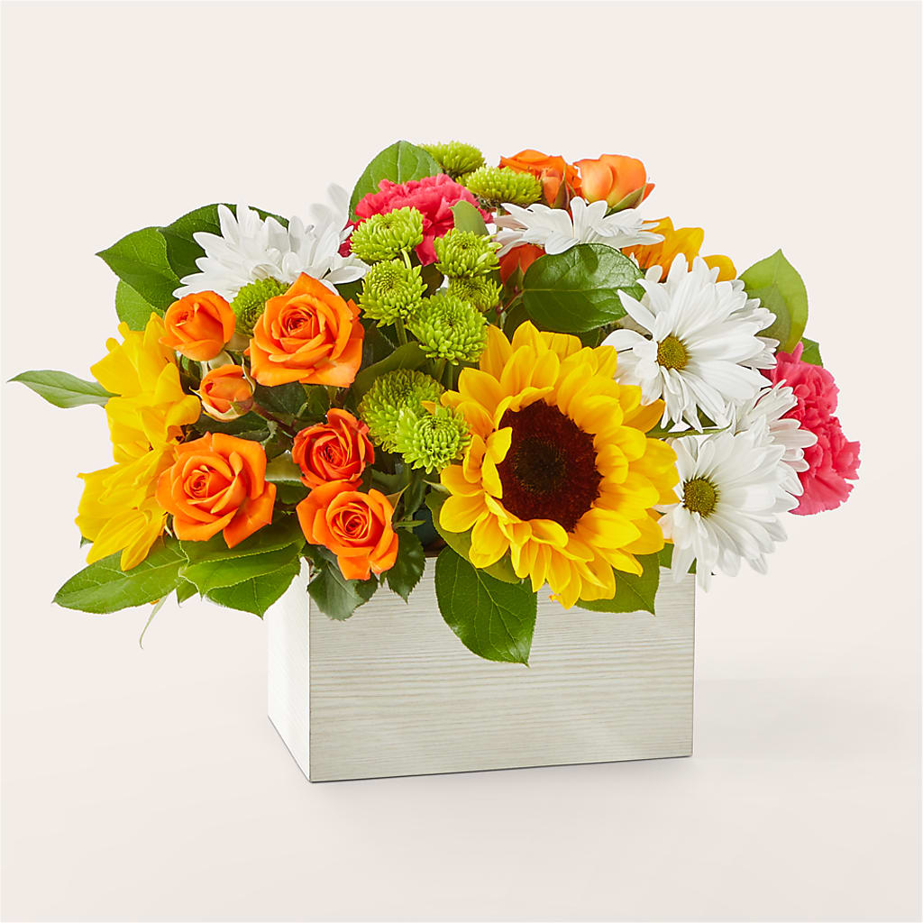 Sun-drenched Blooms Box Bouquet – Fleuriste Ampleman Florist Enr, Chateauguay PQ