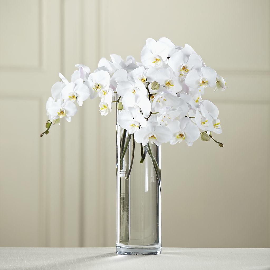 White Phalaenopsis Bouquet – Fleuriste Ampleman Florist Enr, Chateauguay PQ