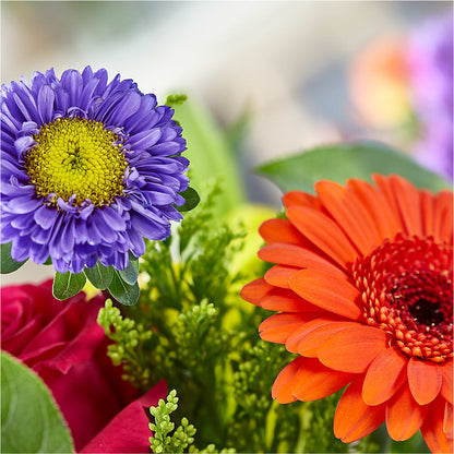 Bold & Bright – A Florist Original –  Fleuriste Ampleman Florist Enr, Chateauguay PQ