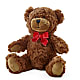 Adorable Plush Bear –  Fleuriste Ampleman Florist Enr, Chateauguay PQ