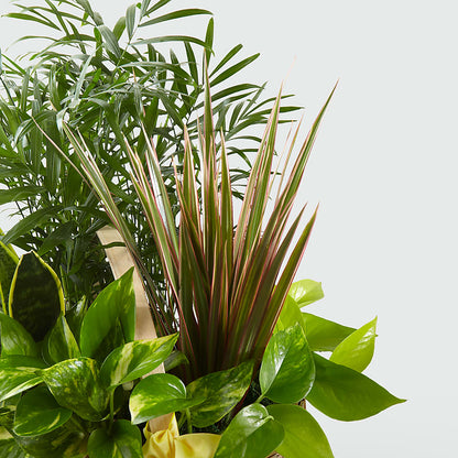 French Garden –  Fleuriste Ampleman Florist Enr, Chateauguay PQ