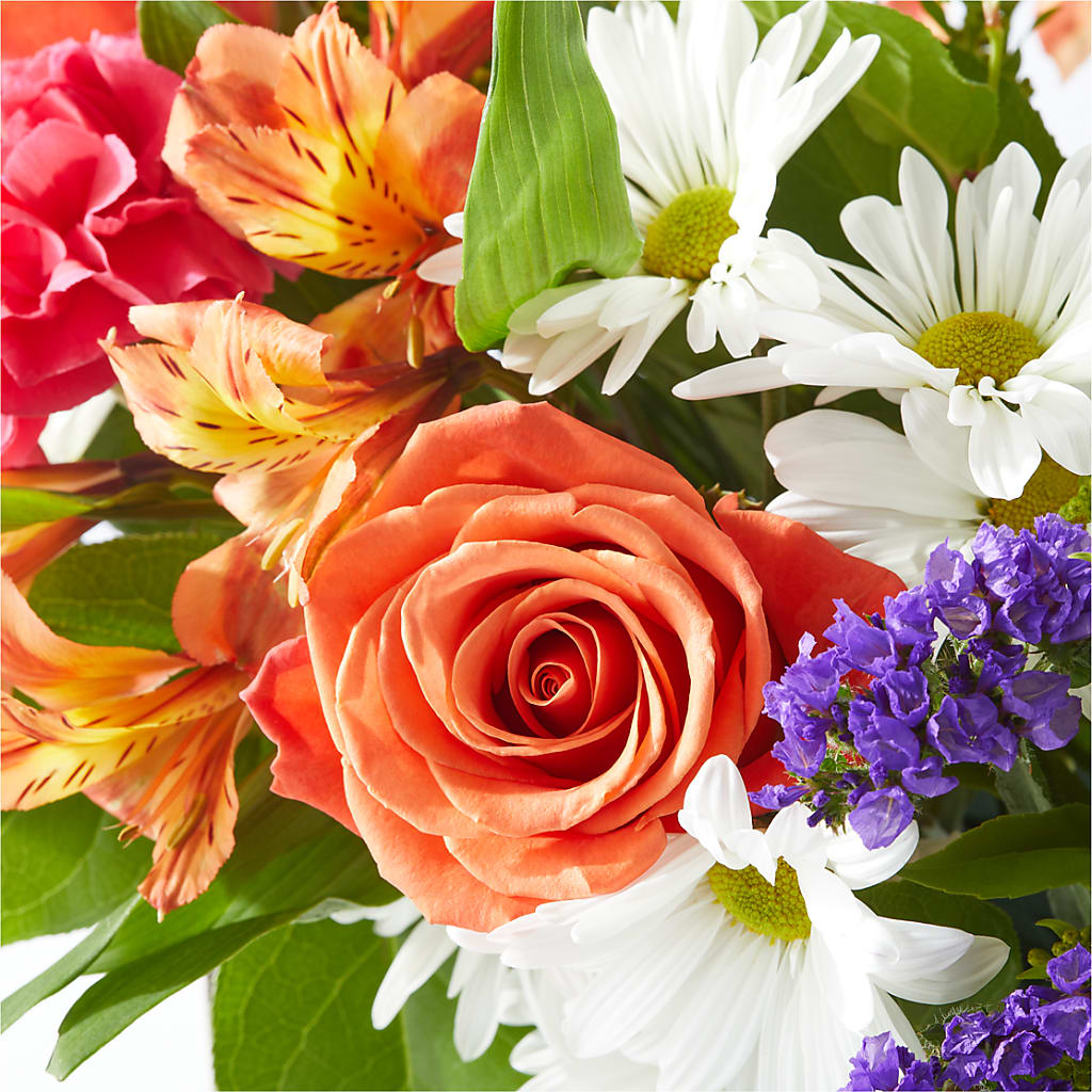 Oopsie Daisy Box Bouquet –  Fleuriste Ampleman Florist Enr, Chateauguay PQ