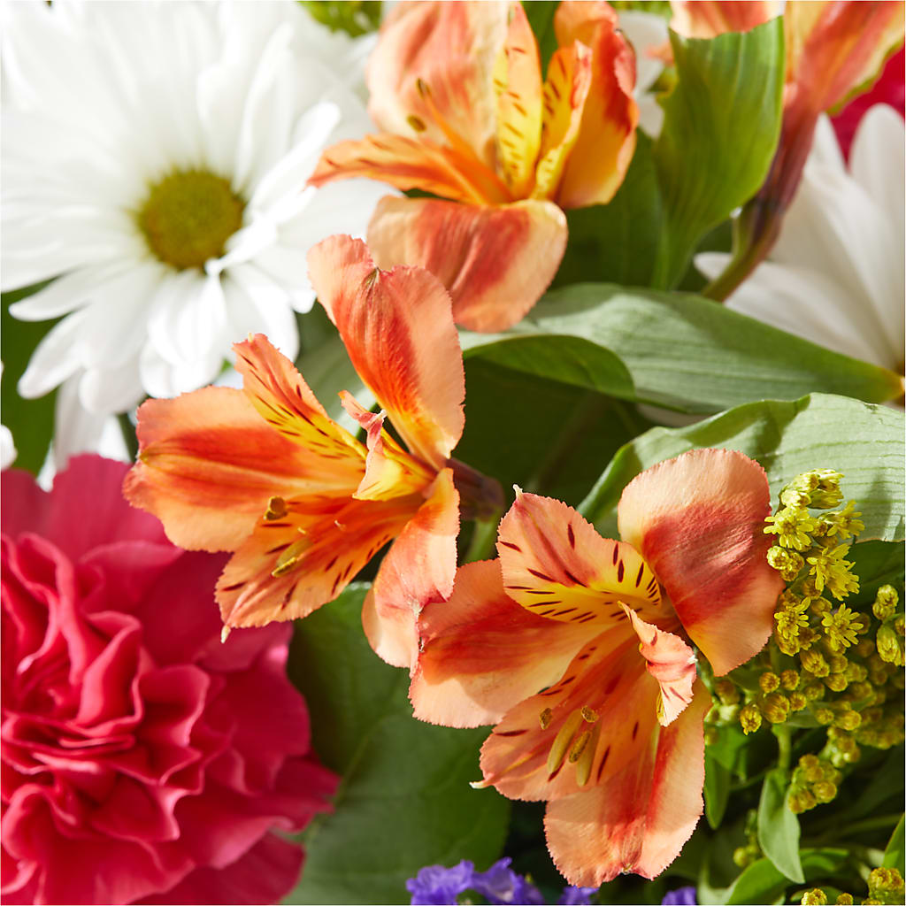 Oopsie Daisy Box Bouquet –  Fleuriste Ampleman Florist Enr, Chateauguay PQ