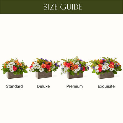 Oopsie Daisy Box Bouquet –  Fleuriste Ampleman Florist Enr, Chateauguay PQ