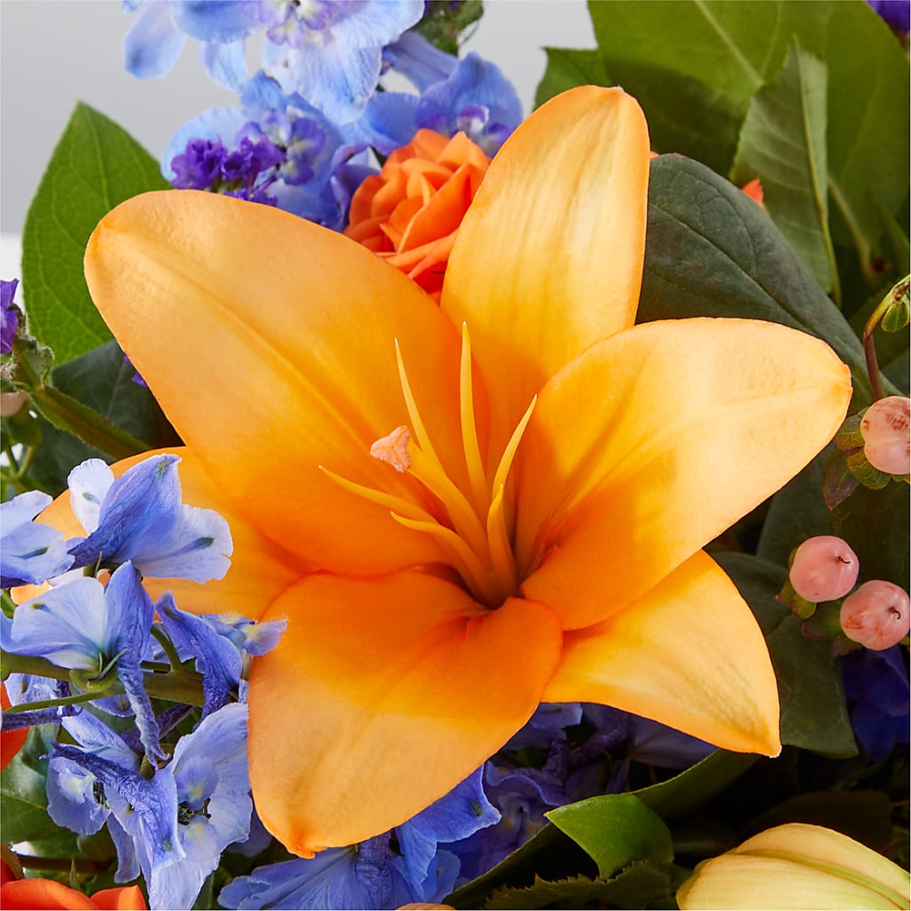 Radiant Citrus Box Bouquet –  Fleuriste Ampleman Florist Enr, Chateauguay PQ