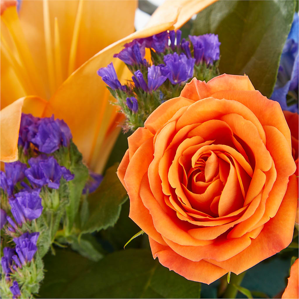 Radiant Citrus Box Bouquet –  Fleuriste Ampleman Florist Enr, Chateauguay PQ
