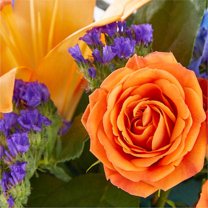 Radiant Citrus Box Bouquet –  Fleuriste Ampleman Florist Enr, Chateauguay PQ