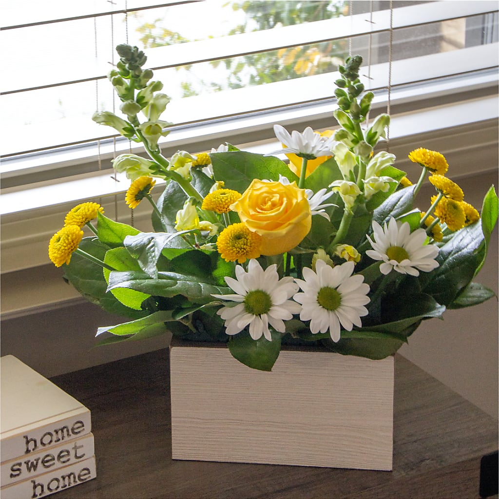 Sun Salutation Box Bouquet –  Fleuriste Ampleman Florist Enr, Chateauguay PQ