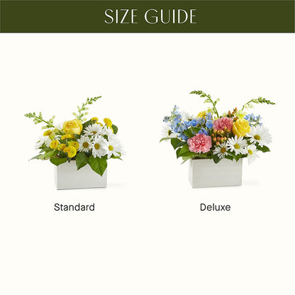 Sun Salutation Box Bouquet –  Fleuriste Ampleman Florist Enr, Chateauguay PQ