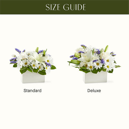 Beyond Blue Box Bouquet –  Fleuriste Ampleman Florist Enr, Chateauguay PQ