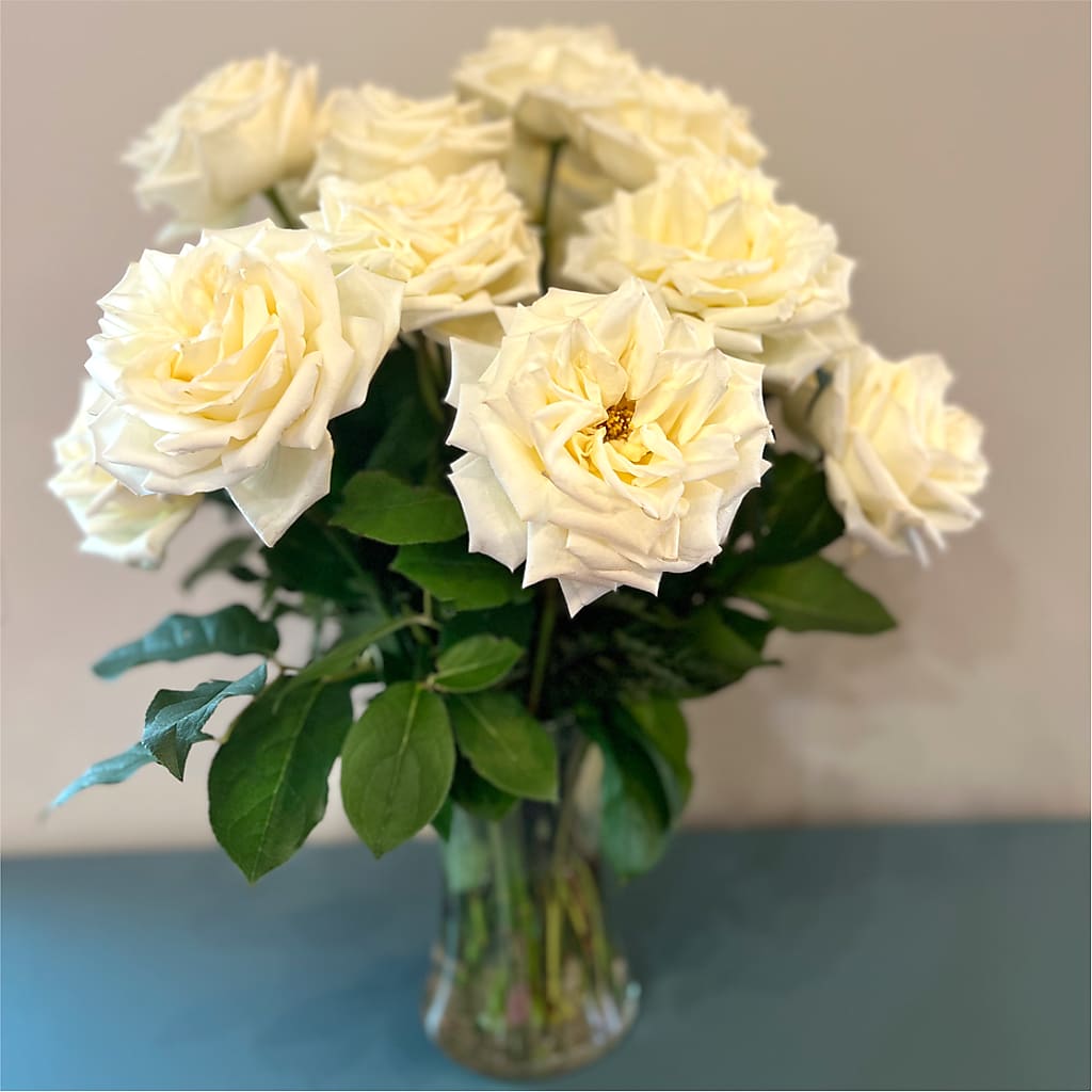 Long Stem Yellow Rose Bouquet –  Fleuriste Ampleman Florist Enr, Chateauguay PQ