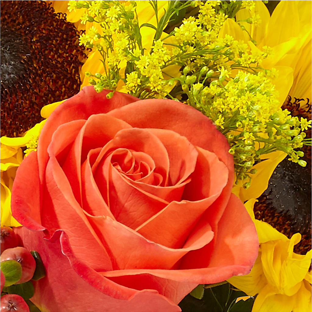 Pick of the Patch Pumpkin Bouquet –  Fleuriste Ampleman Florist Enr, Chateauguay PQ