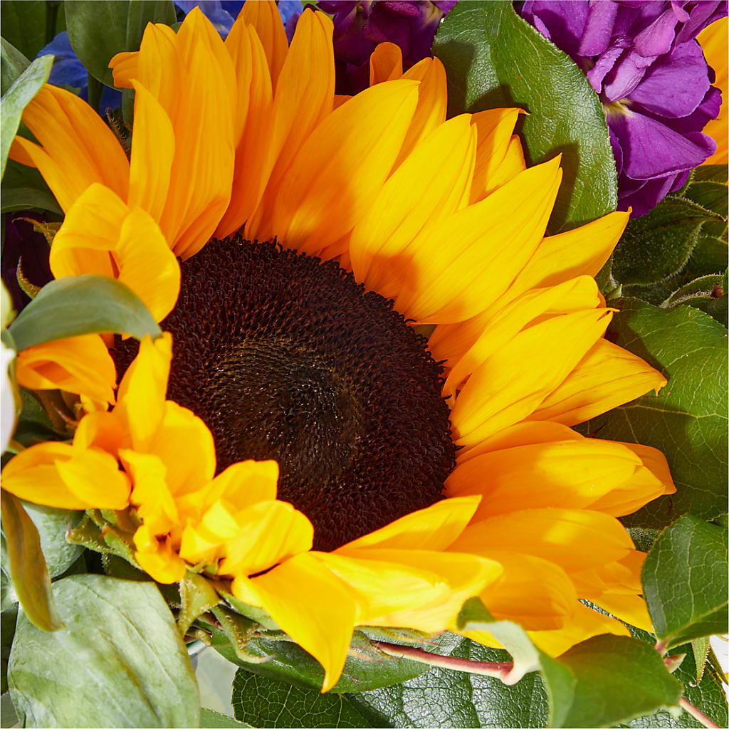 Catching Rays Bouquet –  Fleuriste Ampleman Florist Enr, Chateauguay PQ