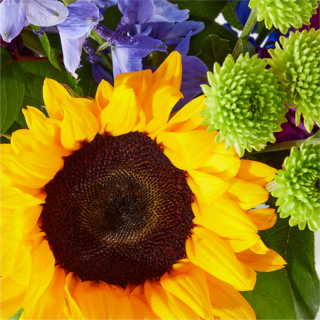 Catching Rays Bouquet –  Fleuriste Ampleman Florist Enr, Chateauguay PQ