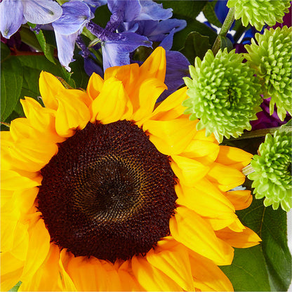 Catching Rays Bouquet –  Fleuriste Ampleman Florist Enr, Chateauguay PQ