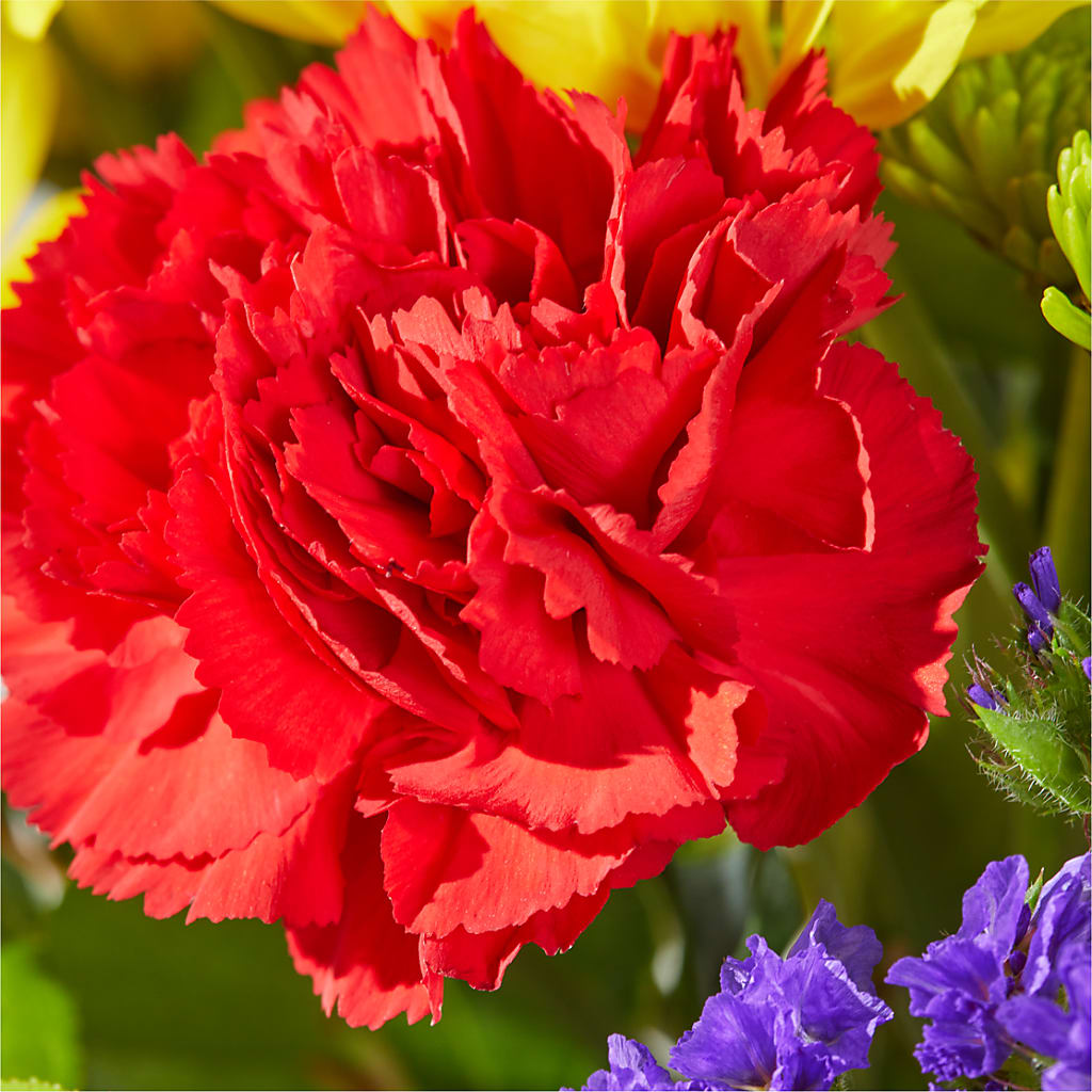 Brighter Days Bouquet –  Fleuriste Ampleman Florist Enr, Chateauguay PQ