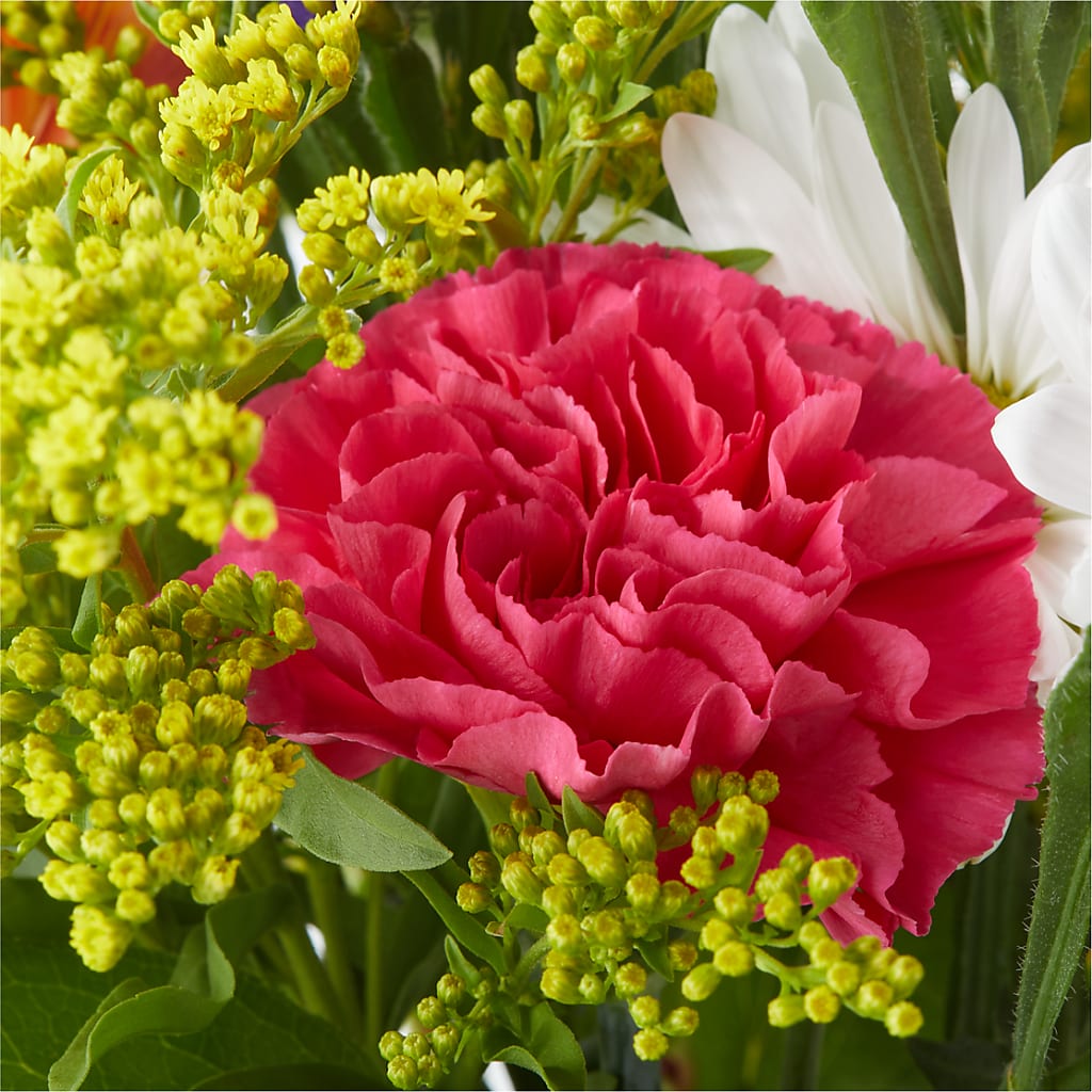 Oopsie Daisy Bouquet –  Fleuriste Ampleman Florist Enr, Chateauguay PQ