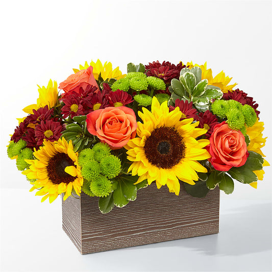 Happy Harvest Garden –  Fleuriste Ampleman Florist Enr, Chateauguay PQ