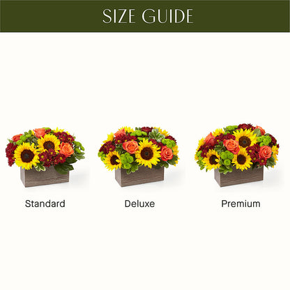Happy Harvest Garden –  Fleuriste Ampleman Florist Enr, Chateauguay PQ