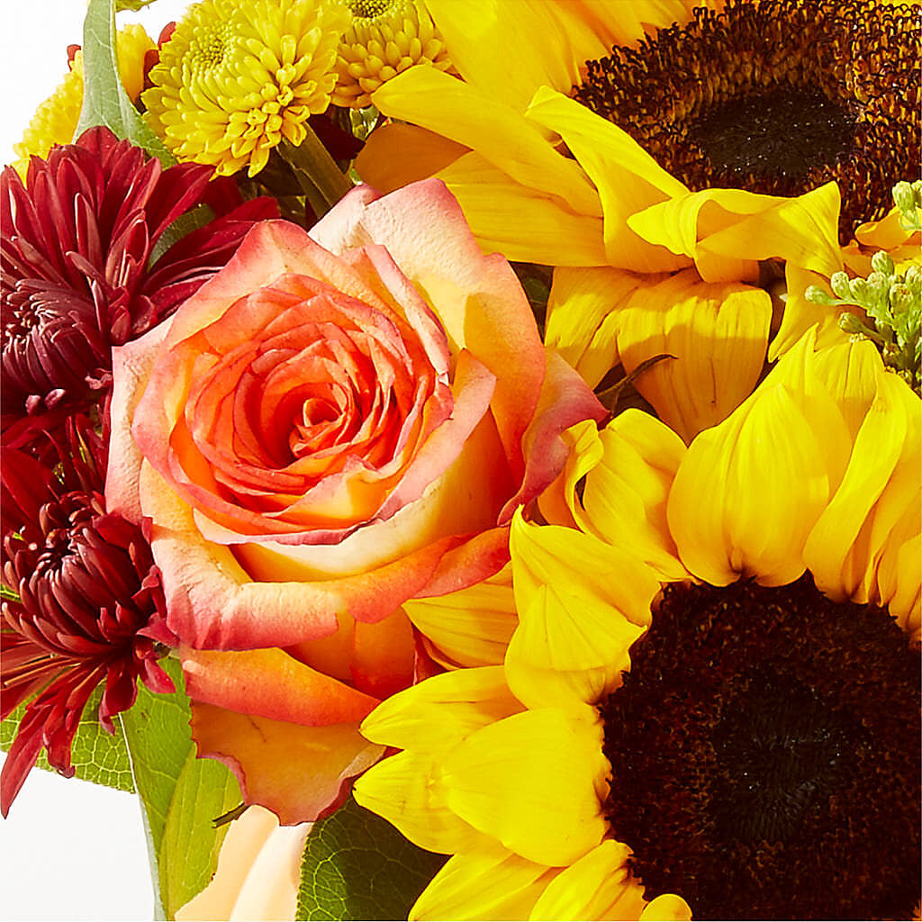 Golden Gourd Pumpkin Bouquet –  Fleuriste Ampleman Florist Enr, Chateauguay PQ