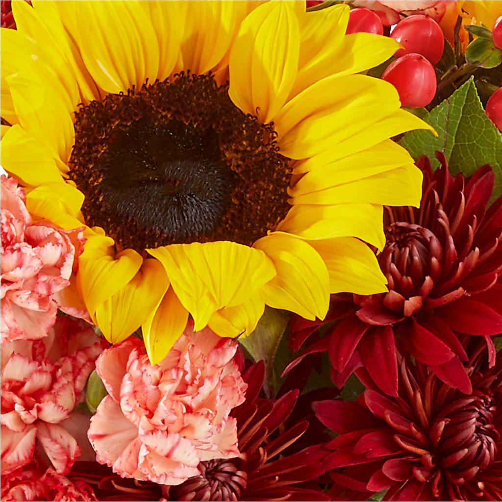 Fresh Cider Bouquet –  Fleuriste Ampleman Florist Enr, Chateauguay PQ