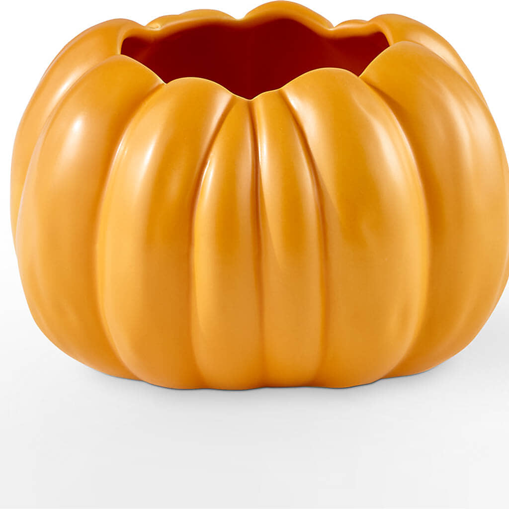 Golden Gourd Pumpkin Bouquet –  Fleuriste Ampleman Florist Enr, Chateauguay PQ