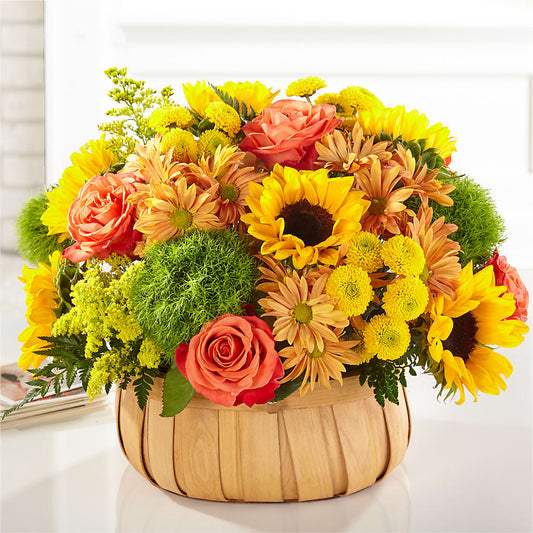 Harvest Sunflower Basket –  Fleuriste Ampleman Florist Enr, Chateauguay PQ