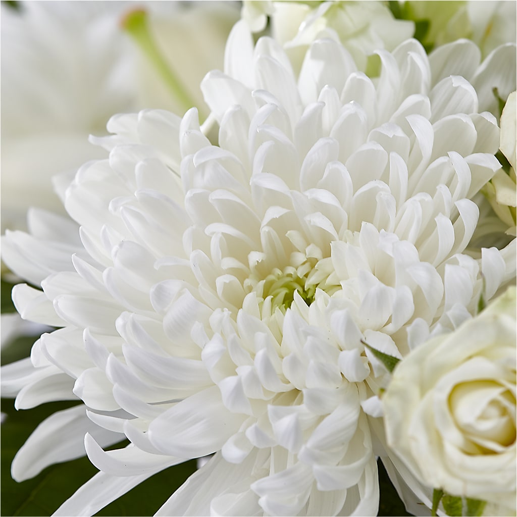 Classic Ivory – A Florist Original –  Fleuriste Ampleman Florist Enr, Chateauguay PQ