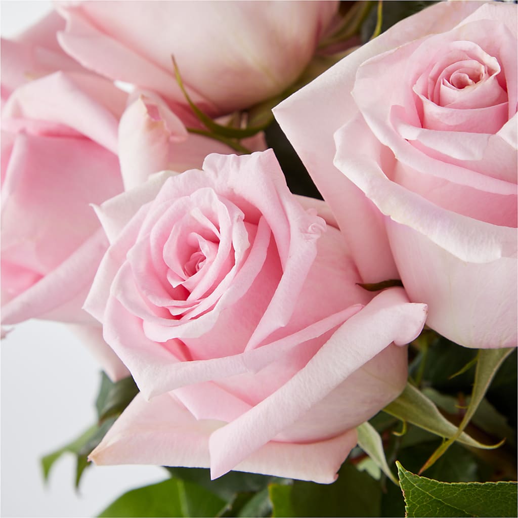 Picture Perfect Pink Rose Bouquet –  Fleuriste Ampleman Florist Enr, Chateauguay PQ