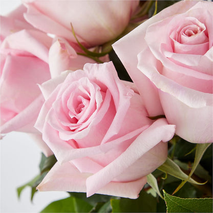 Picture Perfect Pink Rose Bouquet –  Fleuriste Ampleman Florist Enr, Chateauguay PQ