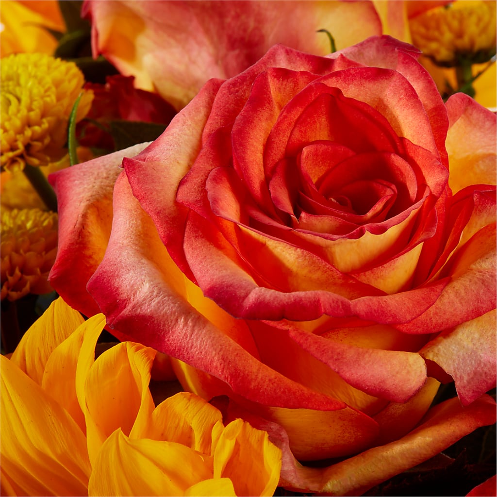 Picnic in the Park Bouquet –  Fleuriste Ampleman Florist Enr, Chateauguay PQ