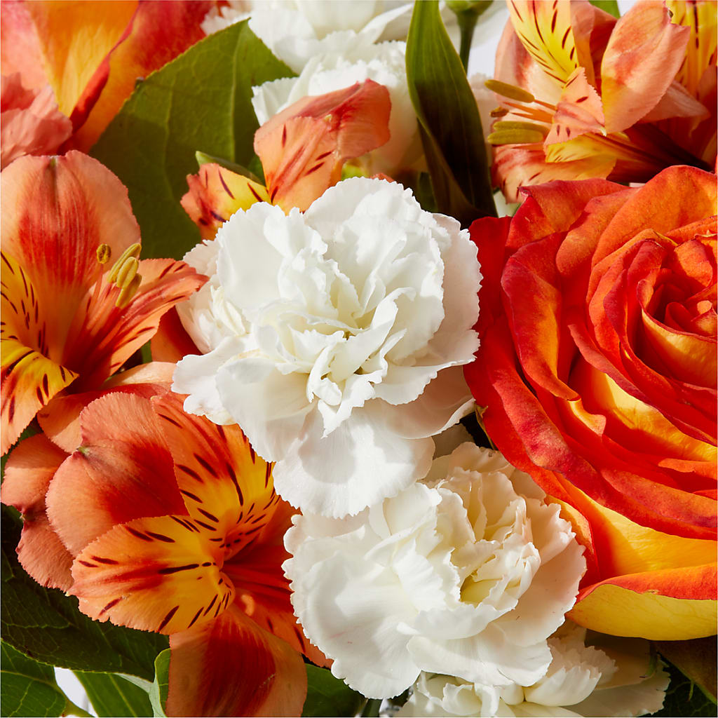 Apricot Glow Bouquet –  Fleuriste Ampleman Florist Enr, Chateauguay PQ