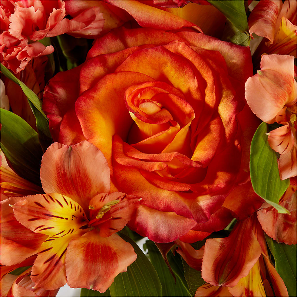 Apricot Glow Bouquet –  Fleuriste Ampleman Florist Enr, Chateauguay PQ
