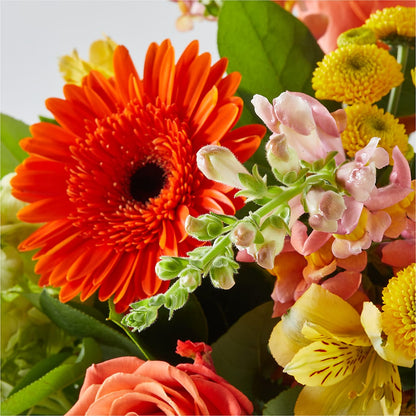 Autumn Sunshine Bouquet –  Fleuriste Ampleman Florist Enr, Chateauguay PQ