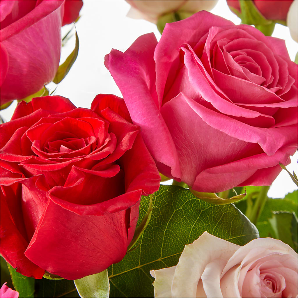 Charming Rose Bouquet –  Fleuriste Ampleman Florist Enr, Chateauguay PQ