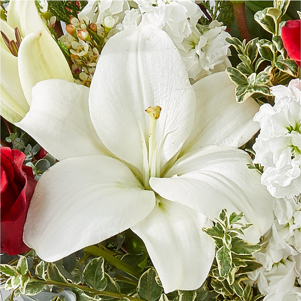 Twinkle Lights Bouquet –  Fleuriste Ampleman Florist Enr, Chateauguay PQ