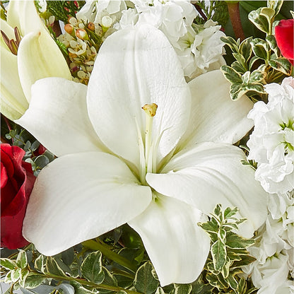 Twinkle Lights Bouquet –  Fleuriste Ampleman Florist Enr, Chateauguay PQ
