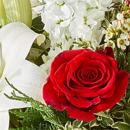Twinkle Lights Bouquet –  Fleuriste Ampleman Florist Enr, Chateauguay PQ