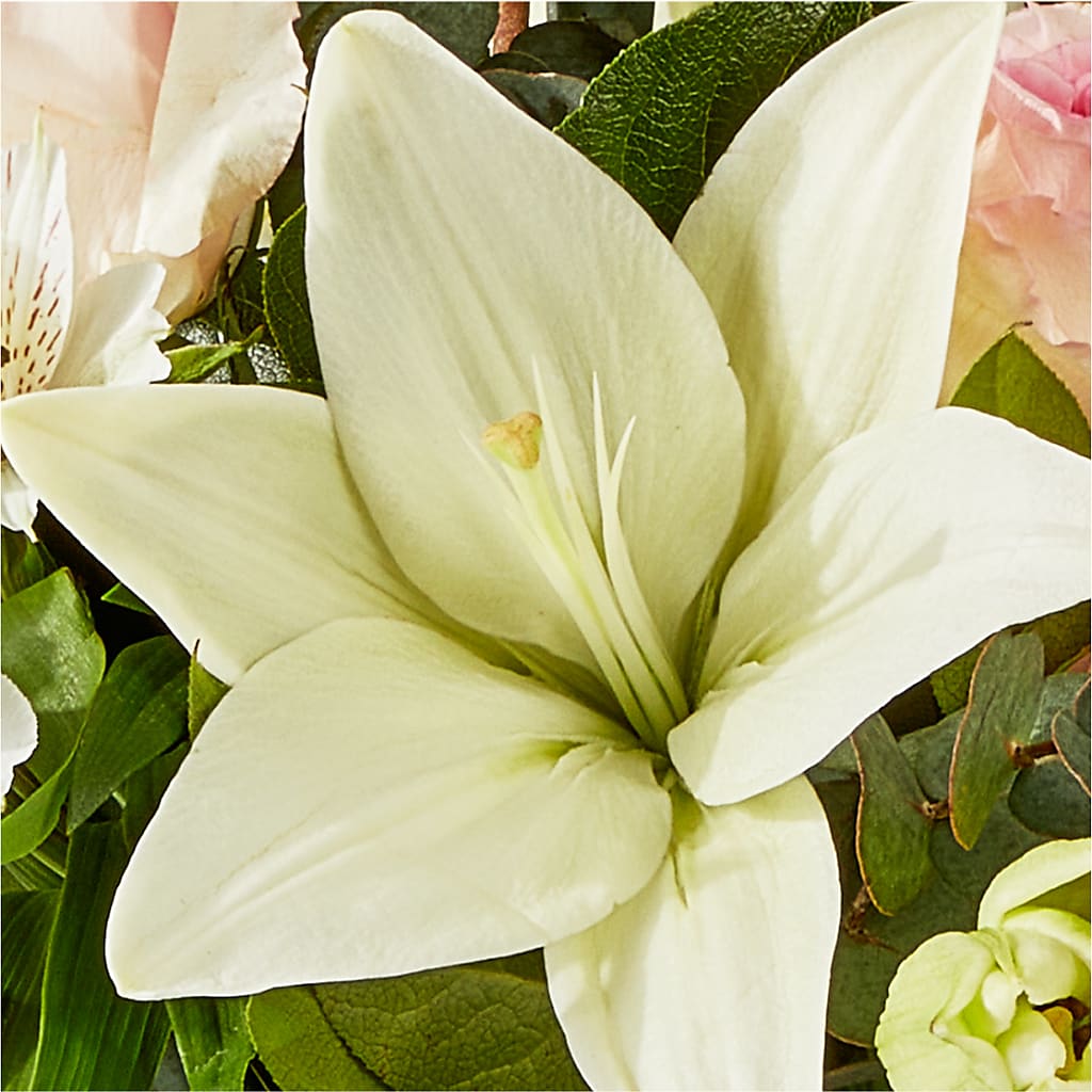 Ballet Slippers Bouquet –  Fleuriste Ampleman Florist Enr, Chateauguay PQ
