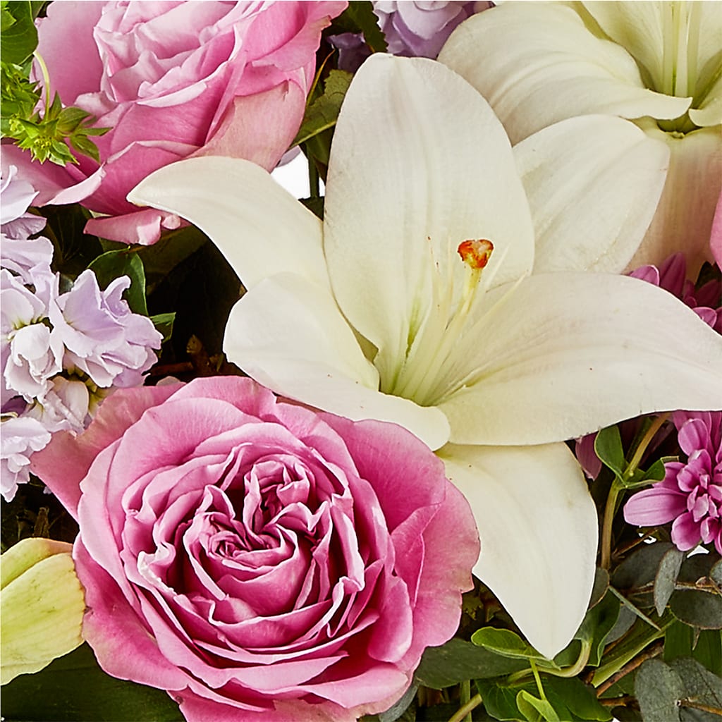 Daydreamer Bouquet –  Fleuriste Ampleman Florist Enr, Chateauguay PQ