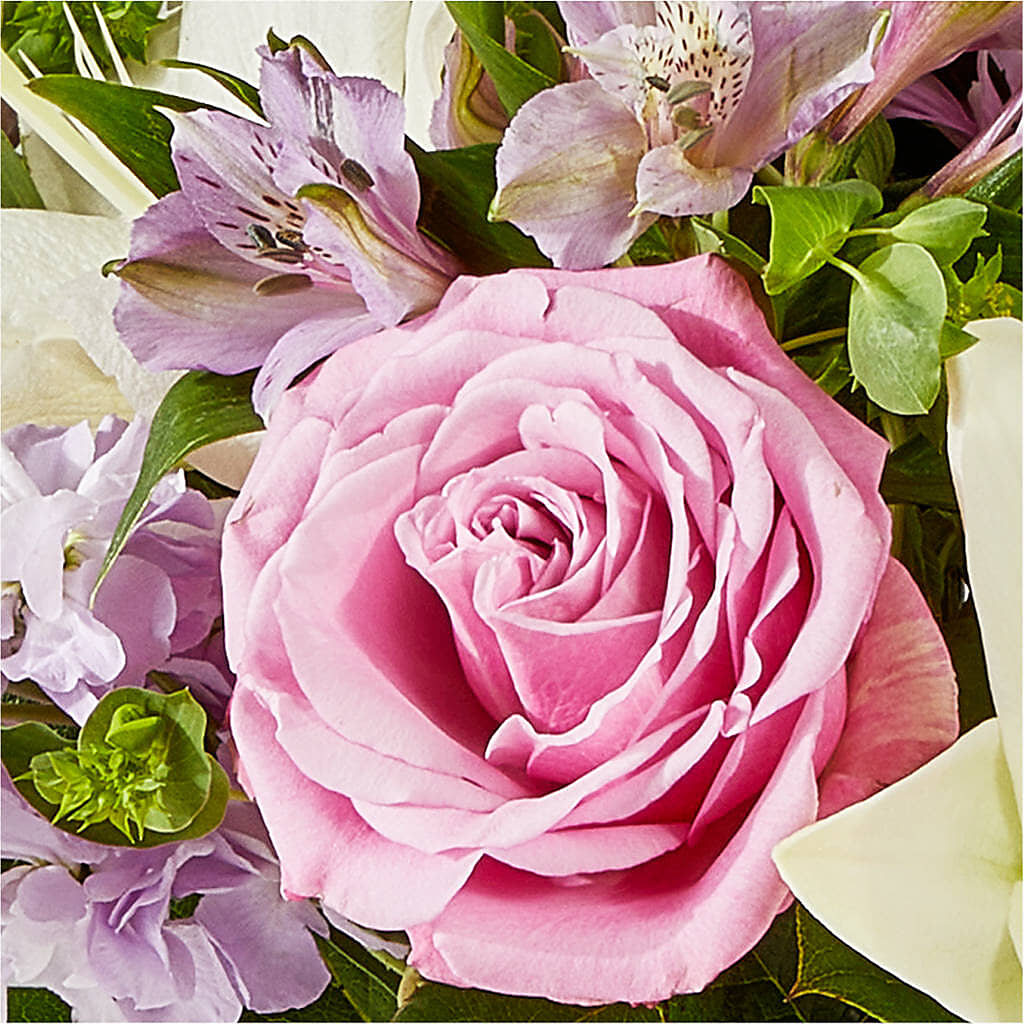 Daydreamer Bouquet –  Fleuriste Ampleman Florist Enr, Chateauguay PQ