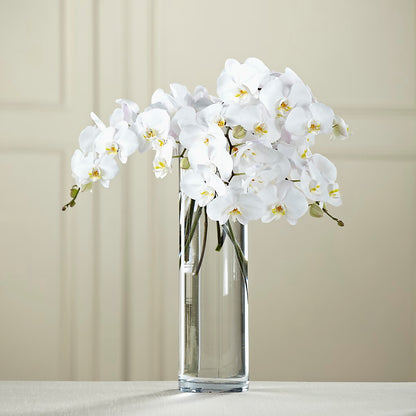 White Phalaenopsis Bouquet –  Fleuriste Ampleman Florist Enr, Chateauguay PQ
